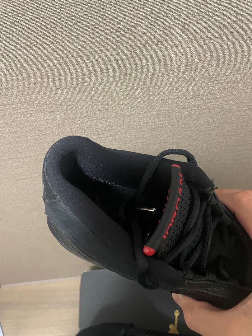 ナイキエアジョーダン14 NIKE Air Jordan14 ラストショット