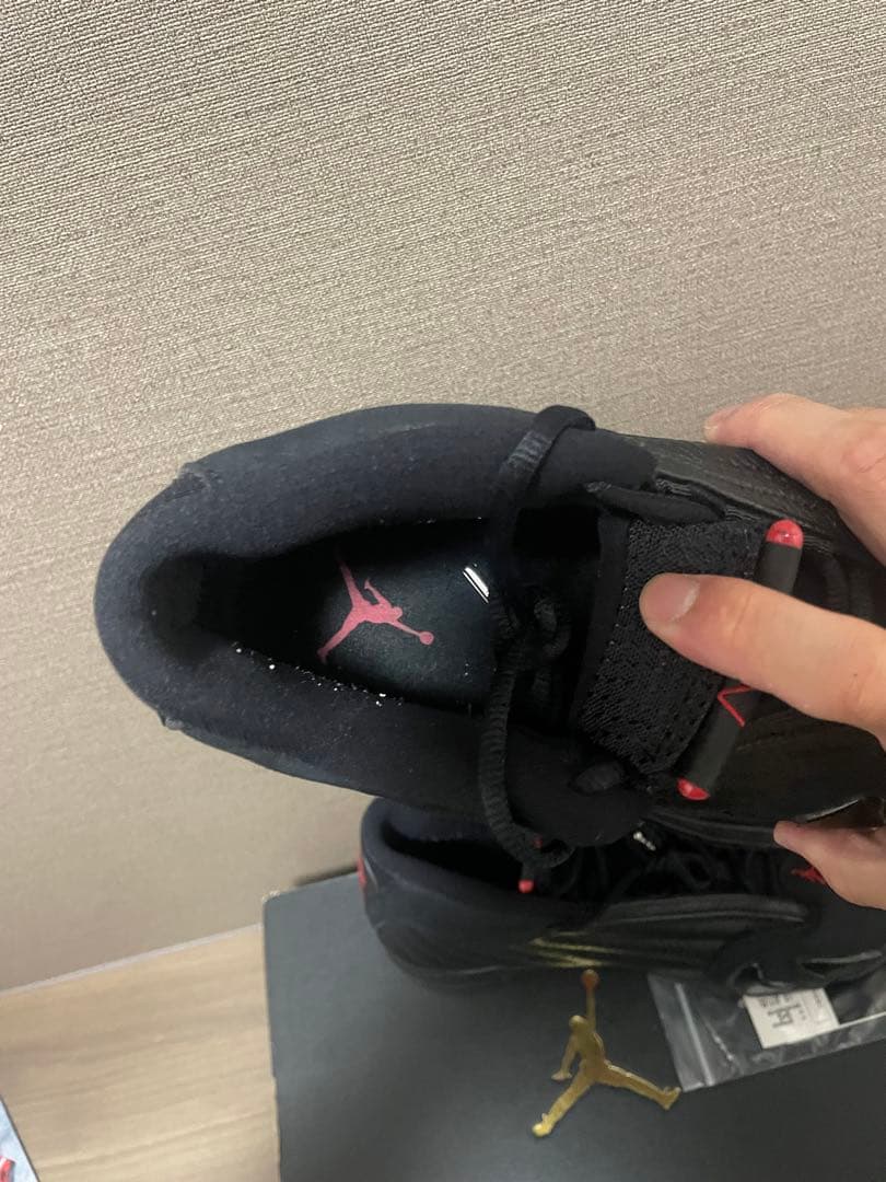 ナイキエアジョーダン14 NIKE Air Jordan14 ラストショット