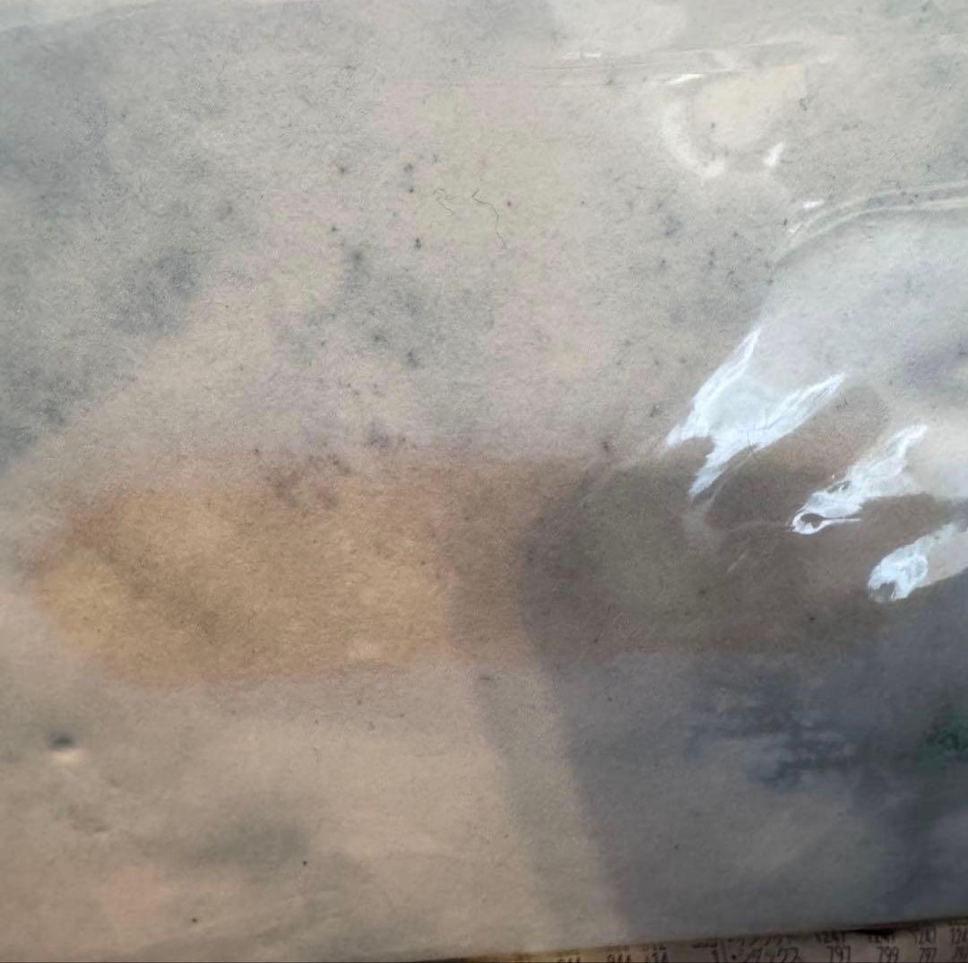 Siip 完全生産限定BOX 1stアルバム 大森元貴 新品未開封