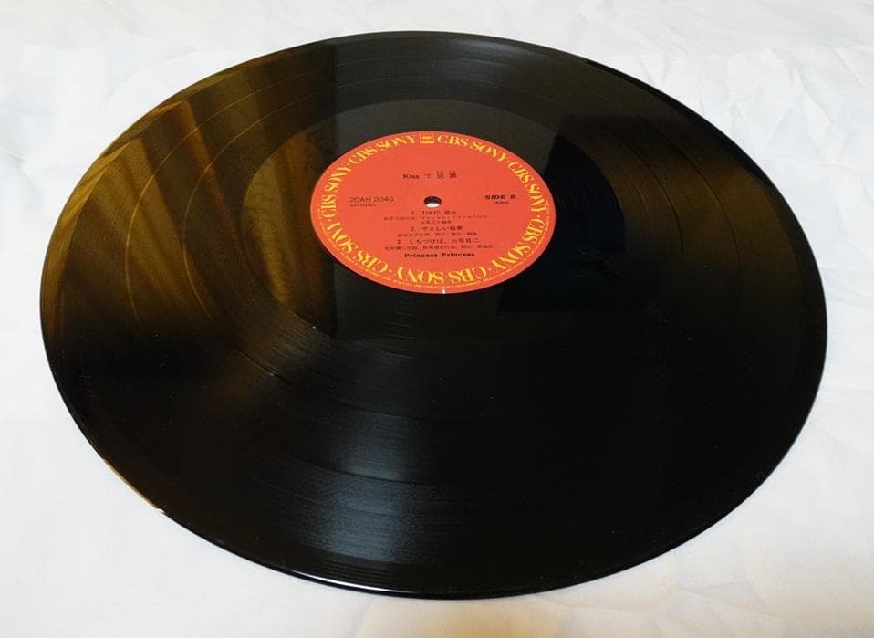 【急募！所有者様】超美品！【PRINCESS PRINCESS】CDコレクション