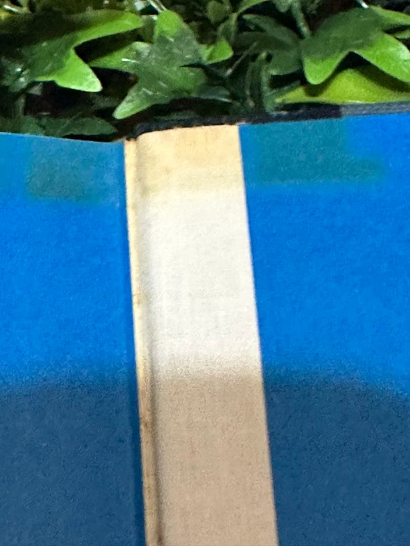 日本産魚類大図鑑 檜山義夫 安田富士郎 講談社 1971年初版 図版多数 外箱付