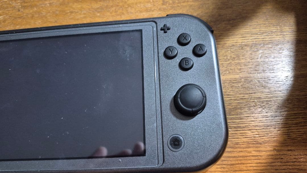 switch lite ディアルガ　パルキア　ポケモン 極美品 1724NZ