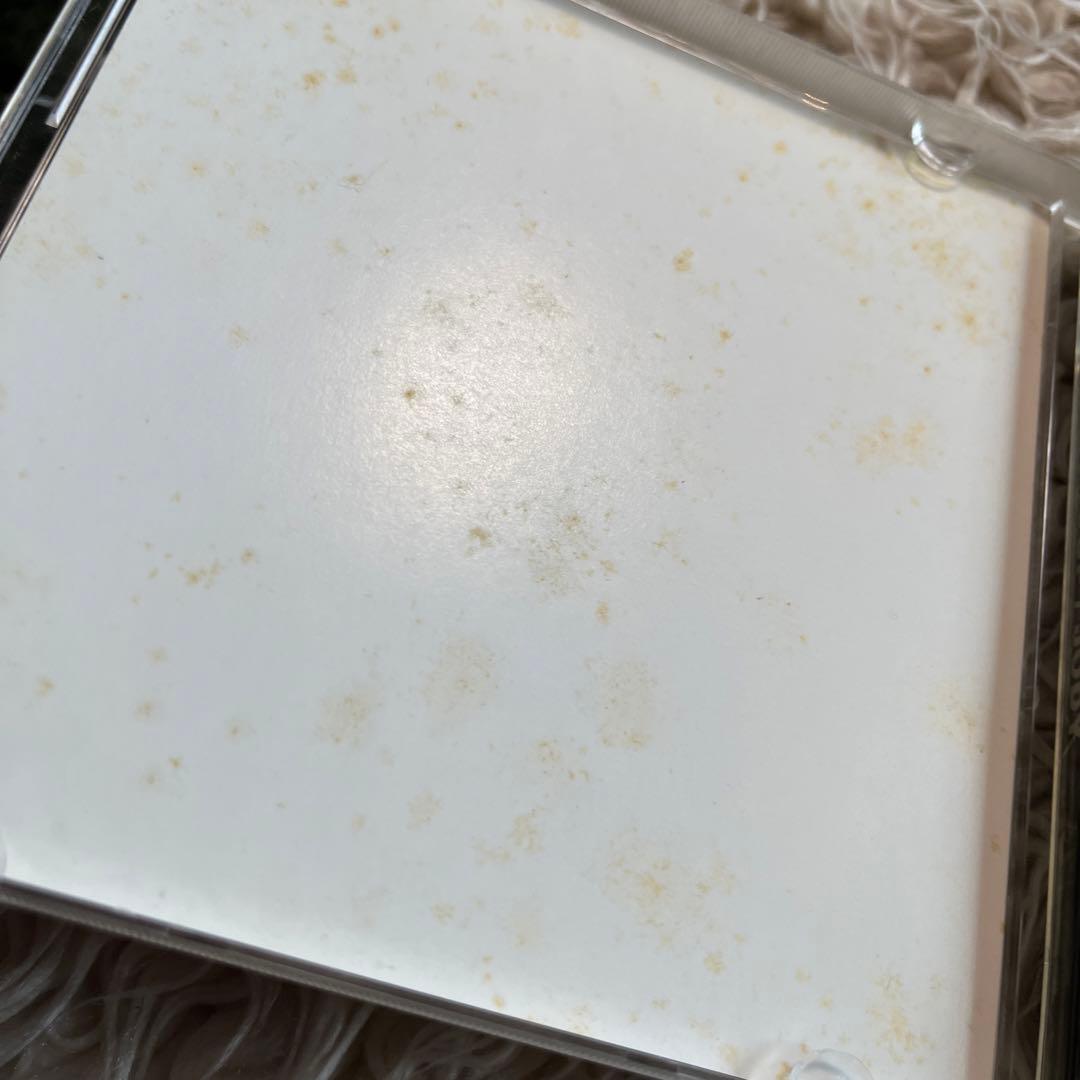 洋楽 JEFF BECK GROUP JODY CD