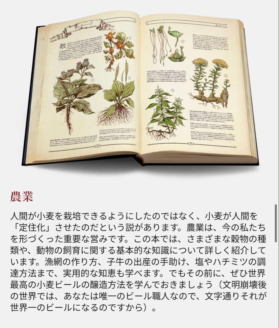 The Book 繊細で美しい絵を満載した大人の図鑑 未開封 日本語版