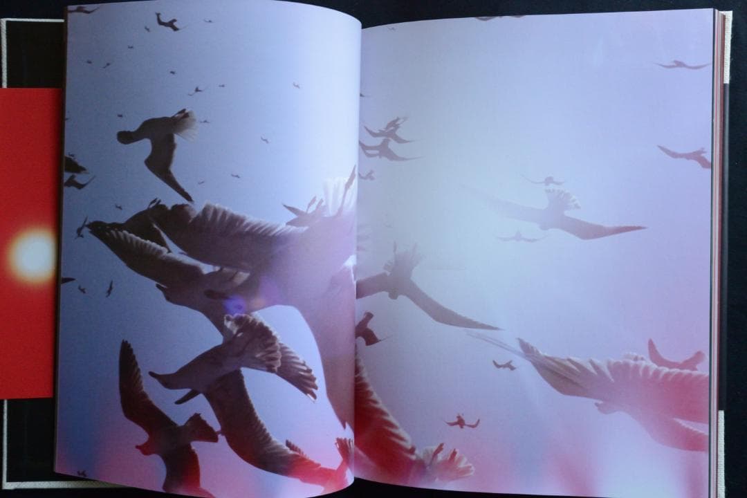 【Mark Borthwick ：Abandom Reverie ＆ zine】