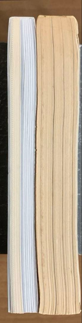 【総力特集 BUCK-TICK】月刊カドカワVOL.10 NO.4&別冊カドカワ