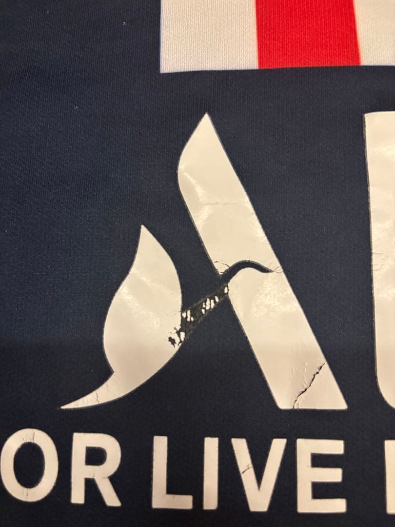 Nike パリ・サンジェルマン ロングスリーブシャツ