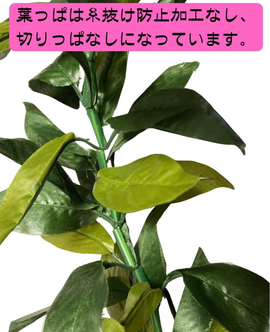 ★4本セット割引★オープンマイレイ 約180cm