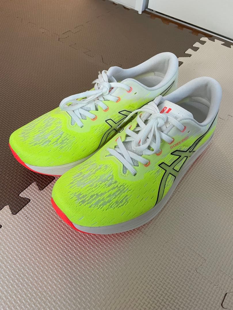 asicsメンズ EvoRide SPEED 2ランニングシューズ28.5cm