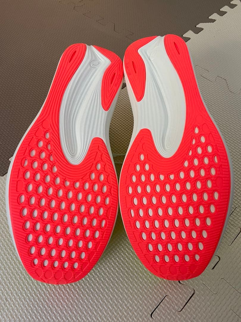 asicsメンズ EvoRide SPEED 2ランニングシューズ28.5cm