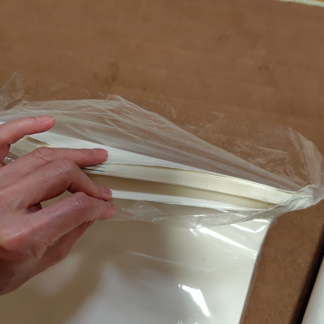 ☆新品☆　純手漉　高級画仙紙「大河」書遊半切　100枚 おまけの90枚もどうぞ♡