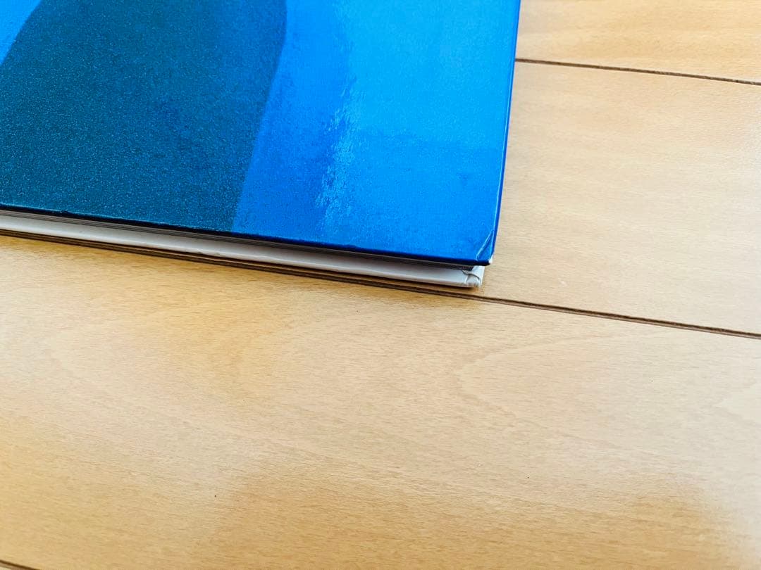 MALICE MIZER 書籍、写真集、パンフレット　4冊セット