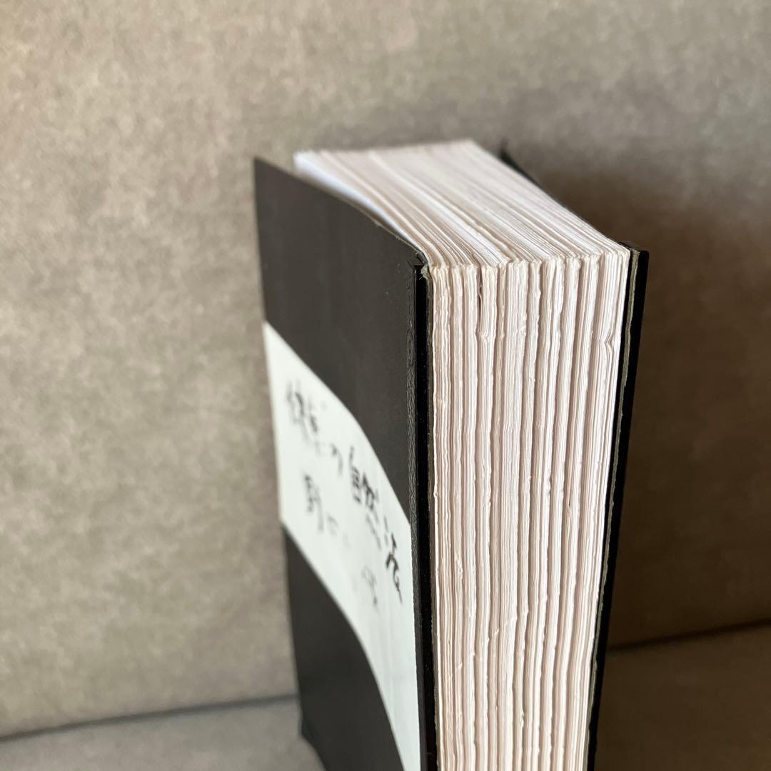 【⚠️入手困難なおまけつき】野口晴哉①病人と看病人②健康の自然法コピー（おまけ）