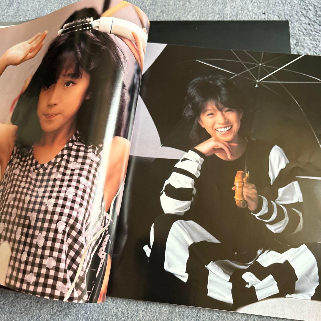 中森明菜　クリムゾン&ビターアンドスイート、パンフレット付き