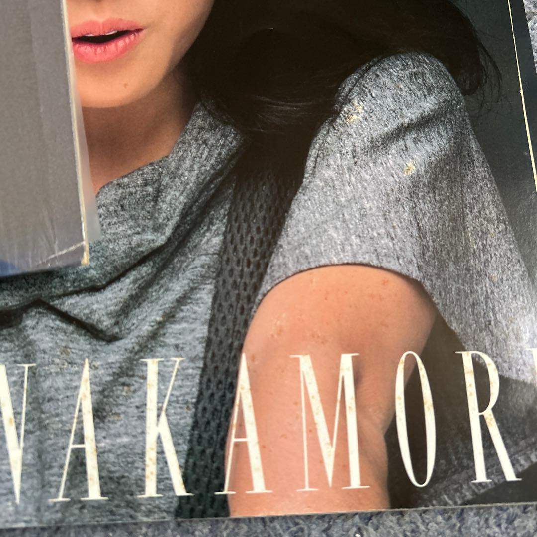 中森明菜　クリムゾン&ビターアンドスイート、パンフレット付き