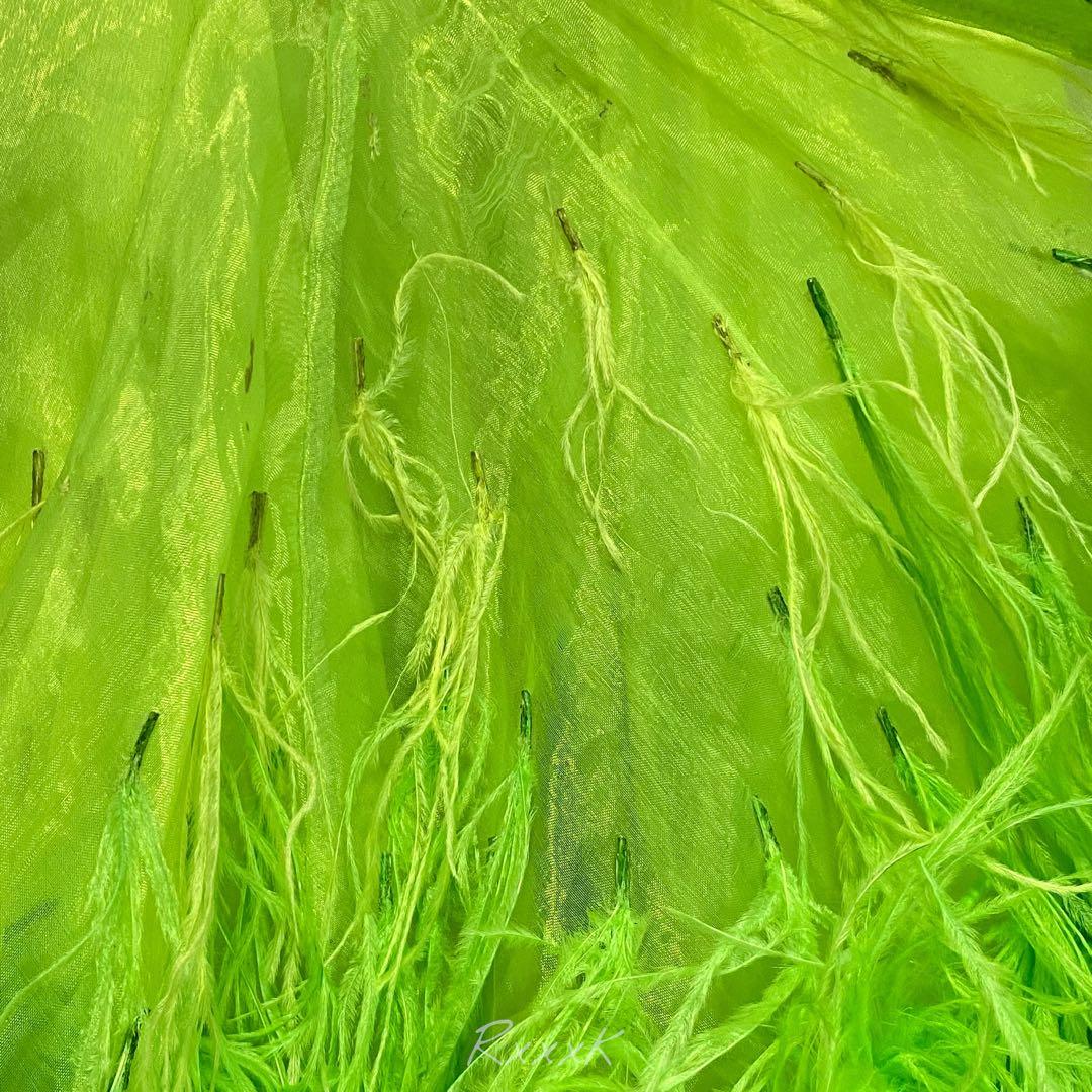 Nakagawa 社交ダンス 衣装 モダンドレス 羽 フェザー ライトグリーン