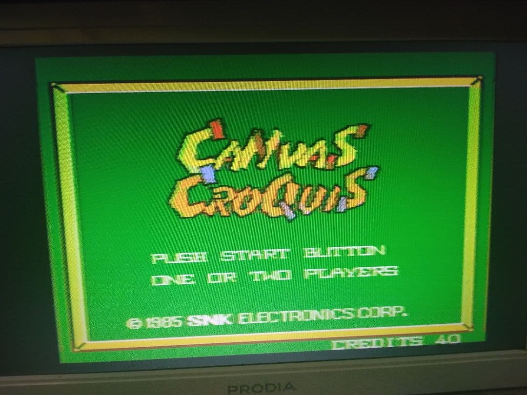 アーケード基板キャンバスクロッキー基板とインスト2枚のみ取扱説明書無し