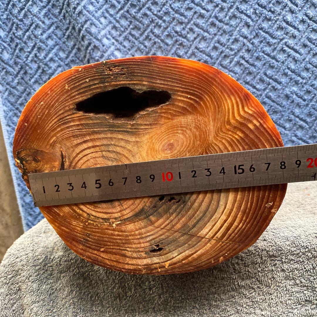 山じぃの格安訳あり！ 巨大ファットウッド