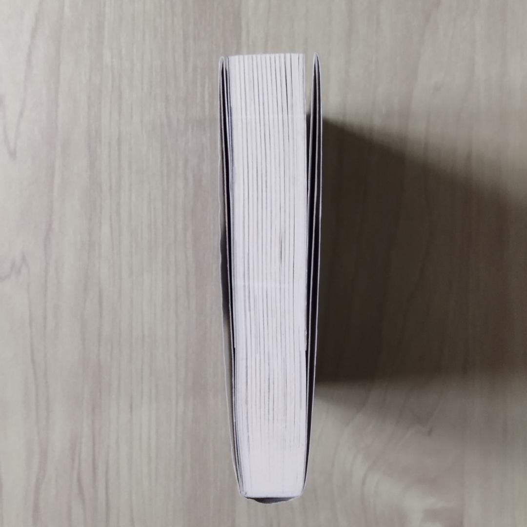 戦場のライラプス　瑞智士記　高橋武久　徳間書店　匿名配送