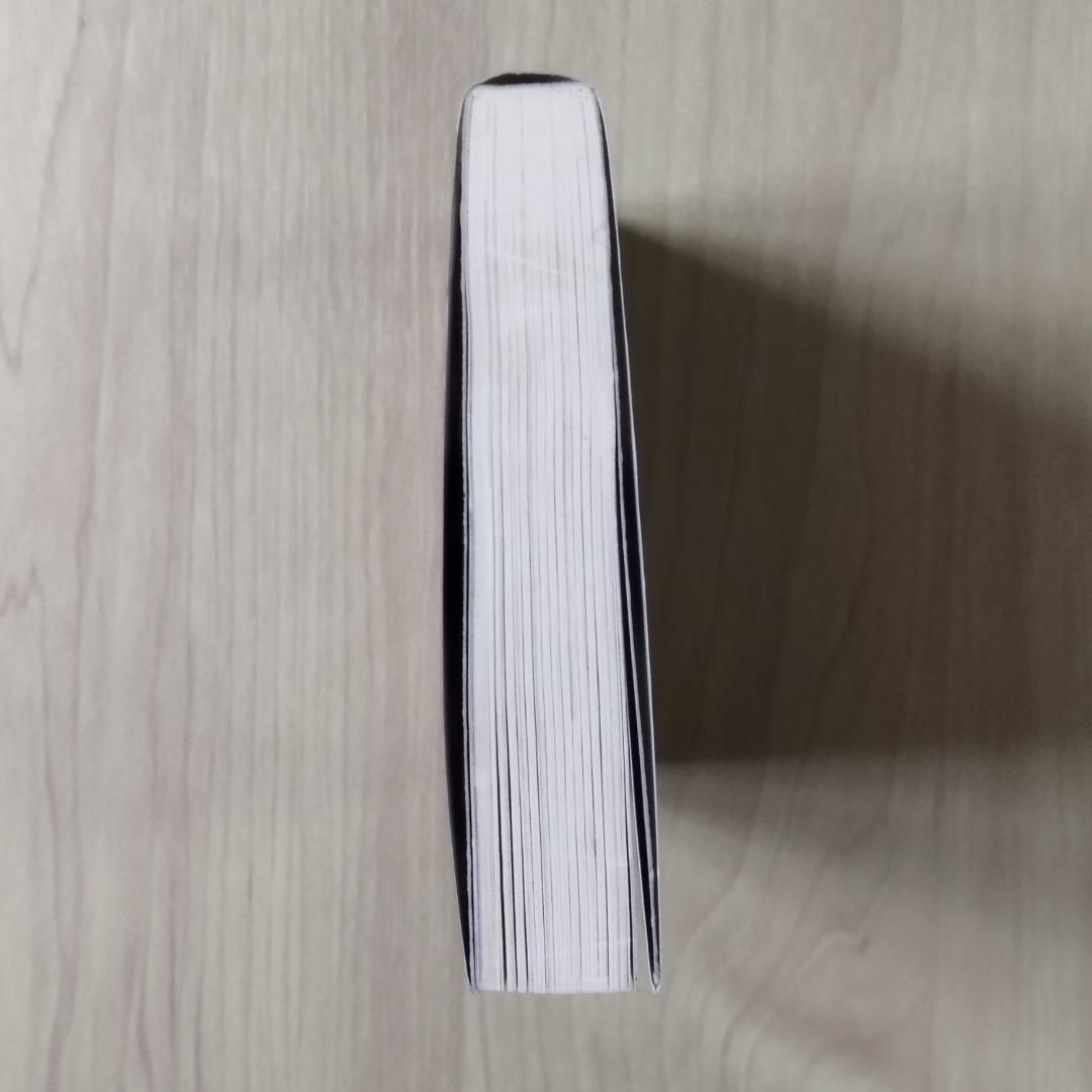 戦場のライラプス　瑞智士記　高橋武久　徳間書店　匿名配送