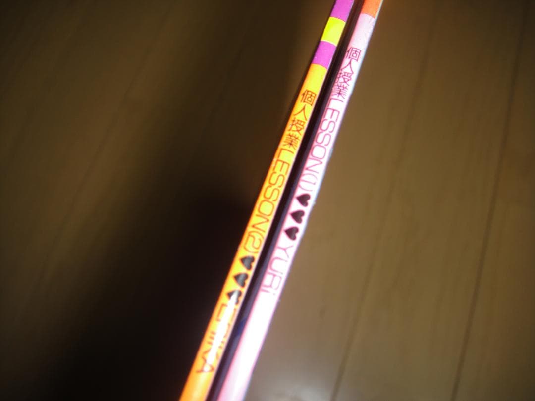 レーザーディスク ◆ 個人授業 LESSON 1＆2 ◆2枚まとめて！原作:遊人