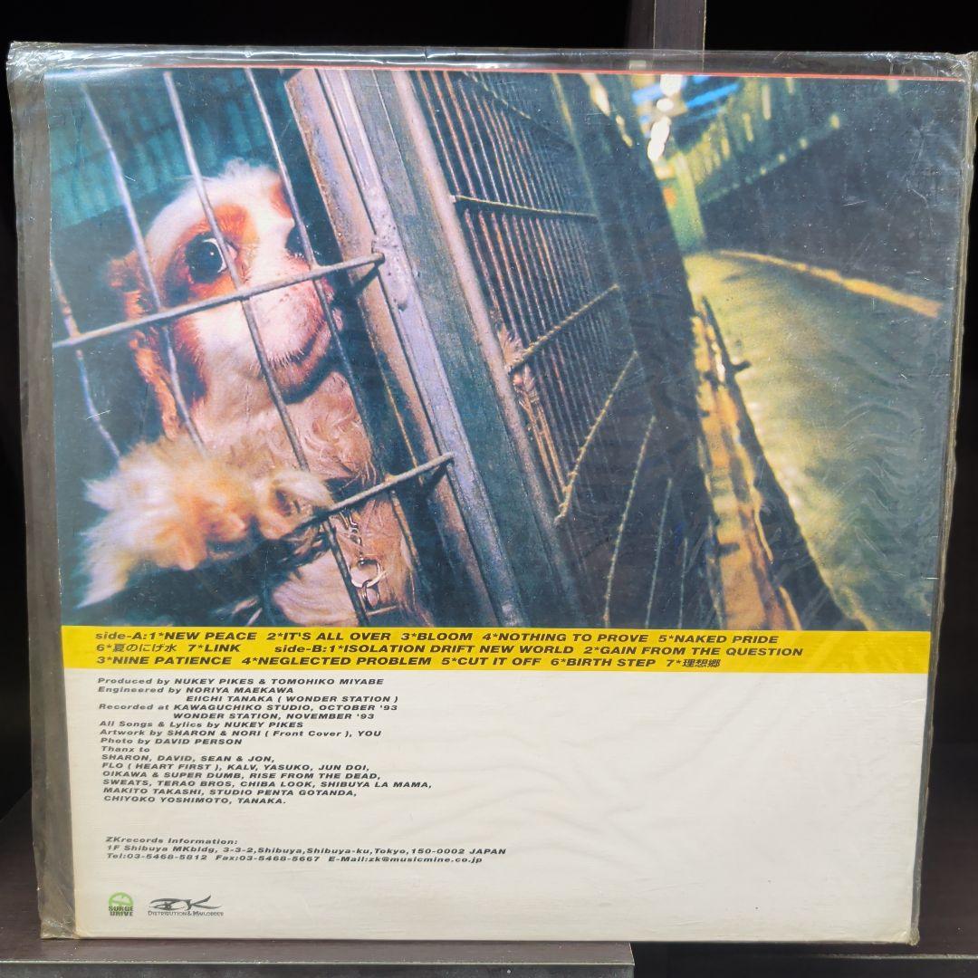 ​ NUKEY PIKES / no point レコード ニューキーパイクス