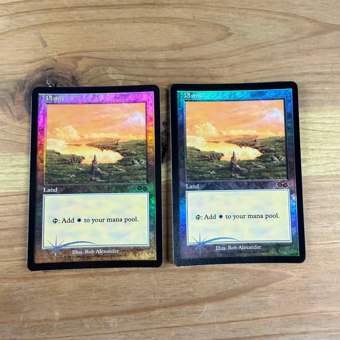 平地 Plains アリーナ Arena Foil 英語 2枚 MTG