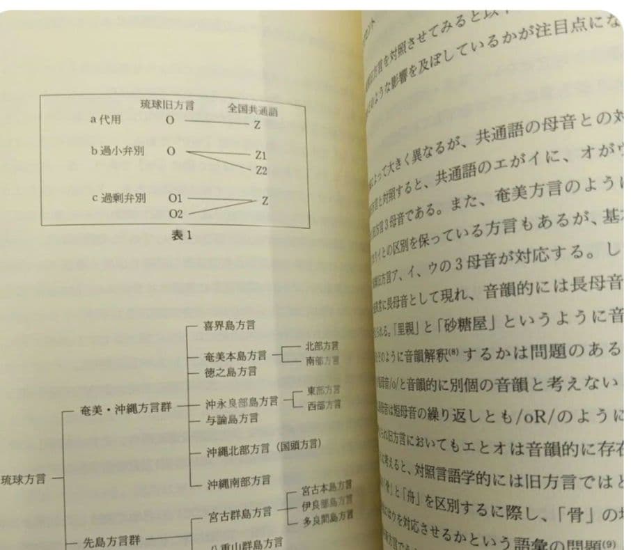 古代琉球語の旅 琉球語は、古事記、日本書紀、万葉集を数百年も遡る謎の言語　共通語
