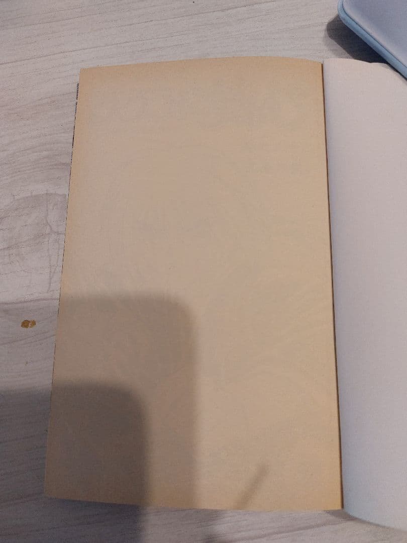 『中古・状態Ａ』初版るろうに剣心 ２２巻