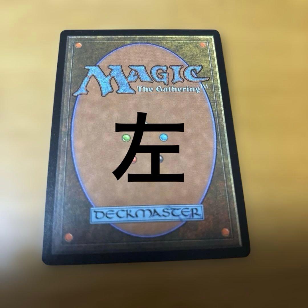 MTG 補充　2枚セット