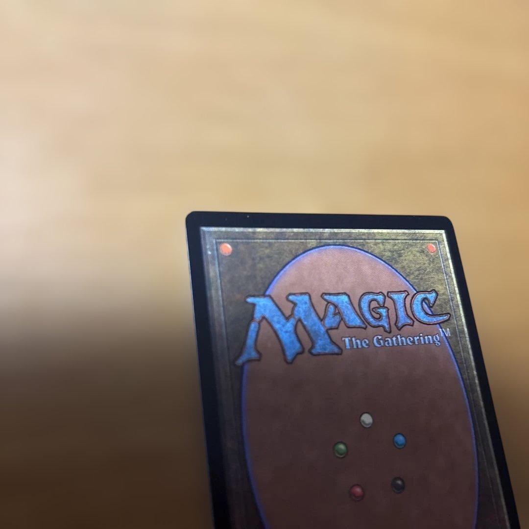 MTG 補充　2枚セット