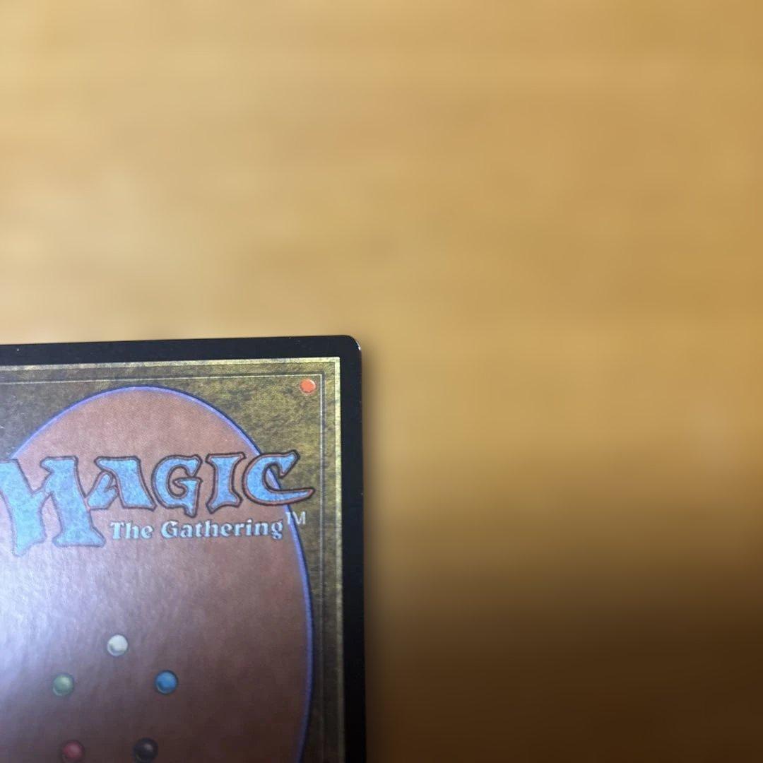 MTG 補充　2枚セット