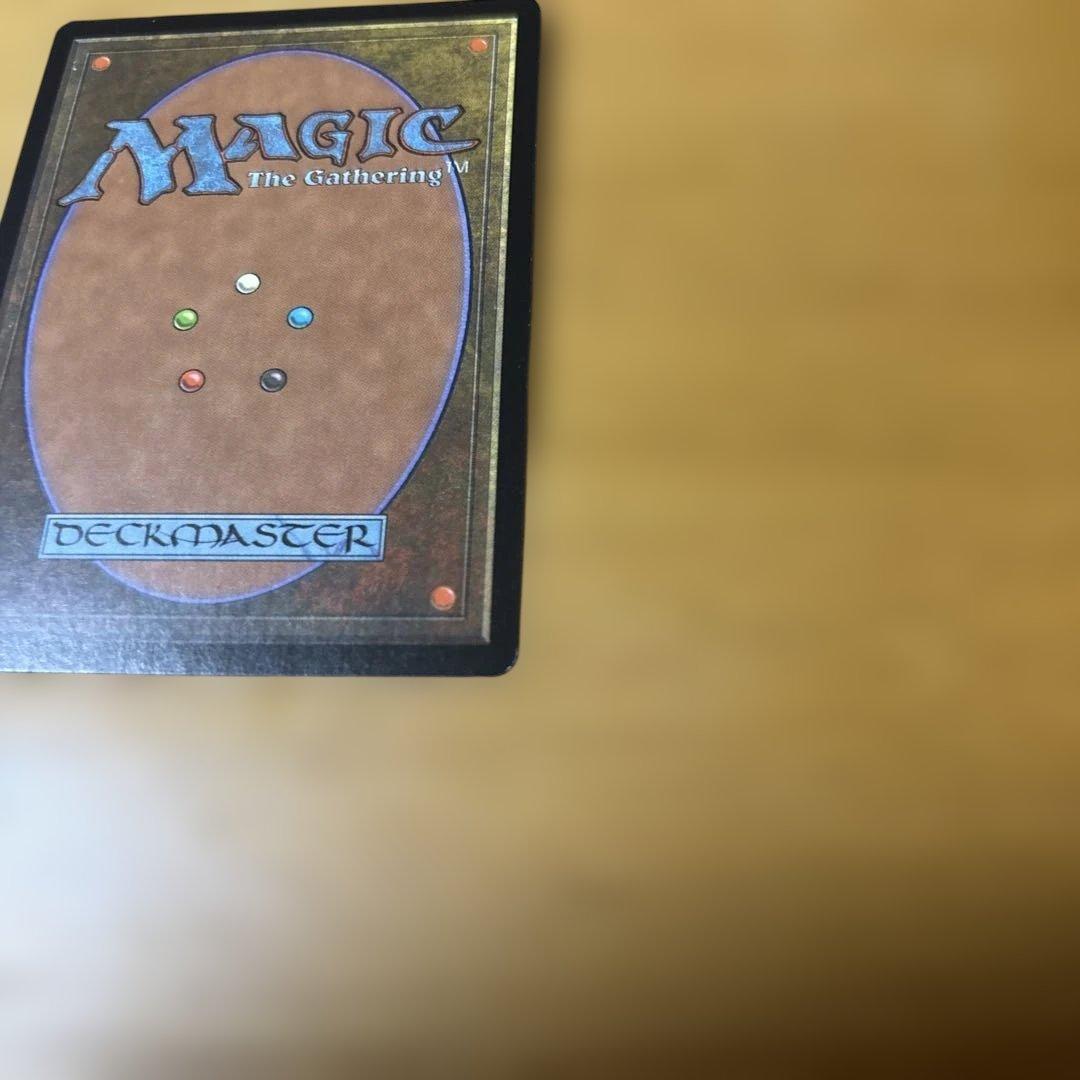 MTG 補充　2枚セット