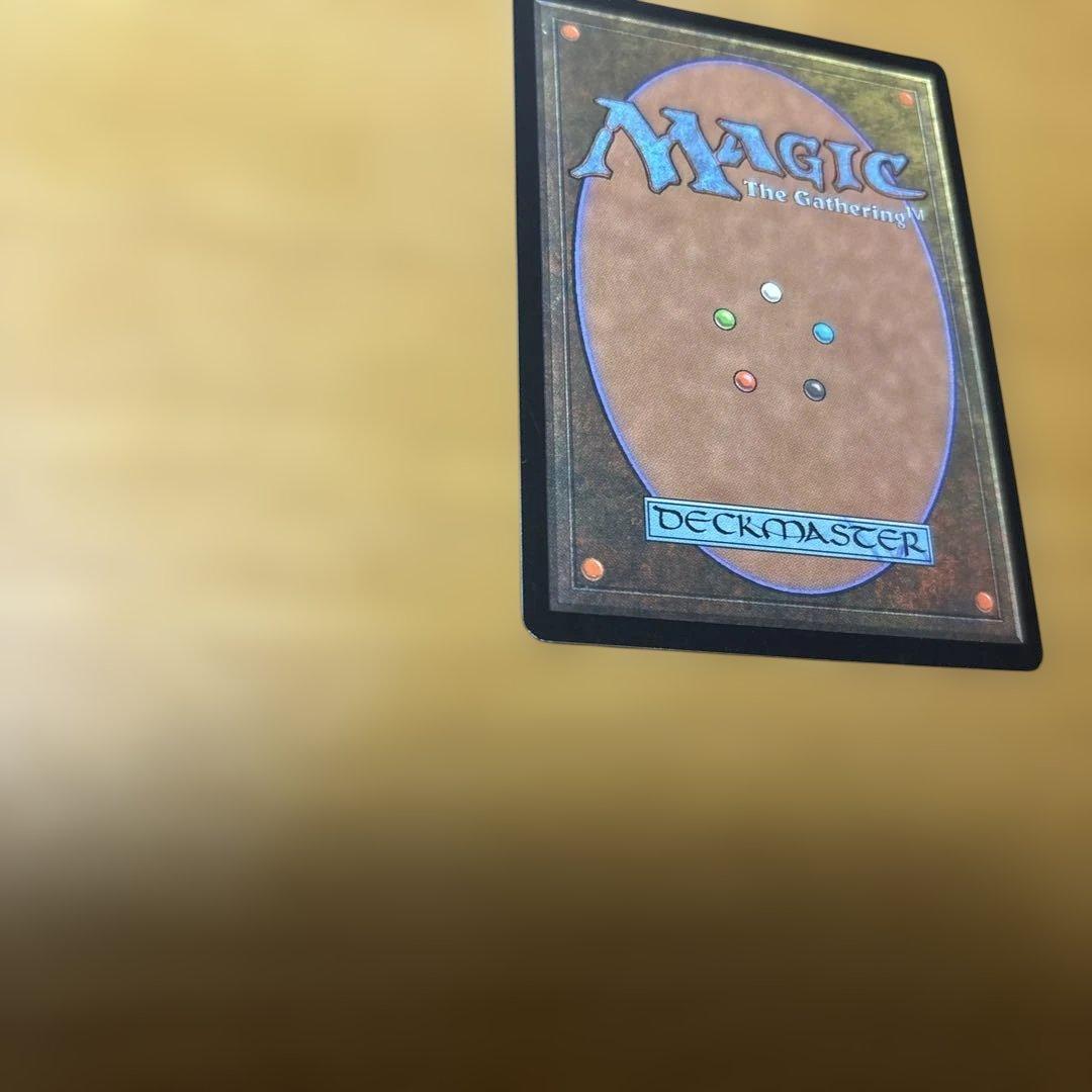 MTG 補充　2枚セット