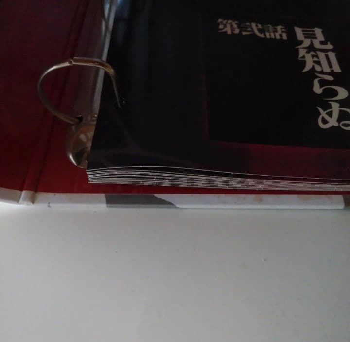 新訂版エヴァンゲリオンクロニクル50冊　バインダー　まとめ売り　説明必読