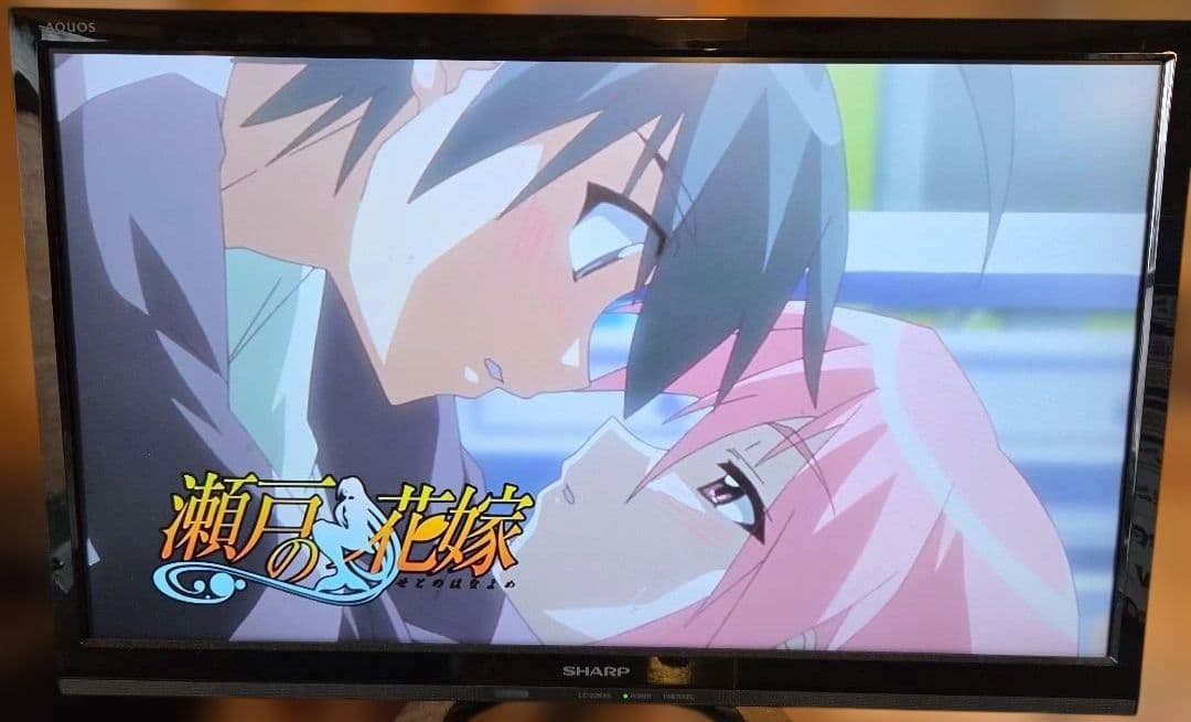 瀬戸の花嫁DVD 全9巻+OVA2巻+ファンディスク2巻