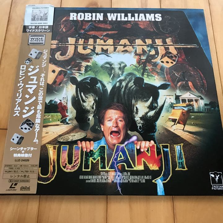 お買得 レーザーディスク 23枚セット 送料無料