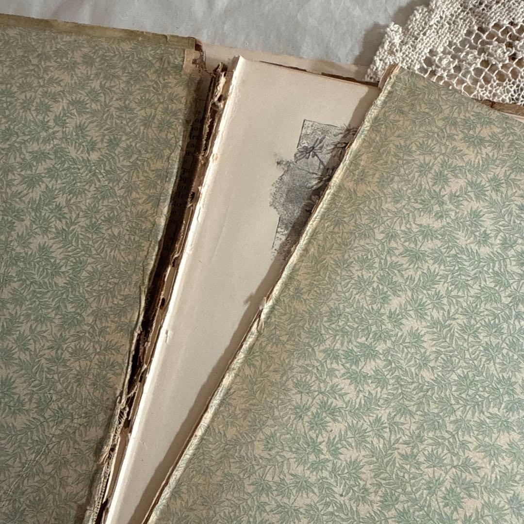 1890年アンティーク美しい挿絵の絵本アーネストニースター洋書ジャンクジャーナル