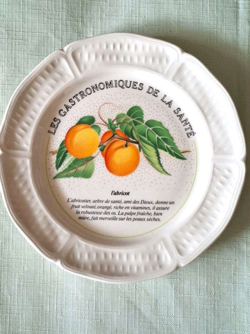 フランスGien社プレート8枚セット