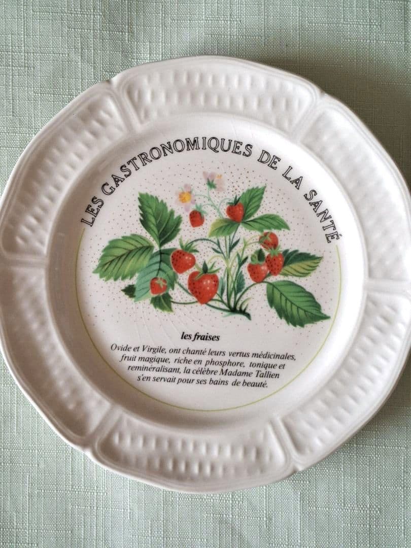 フランスGien社プレート8枚セット