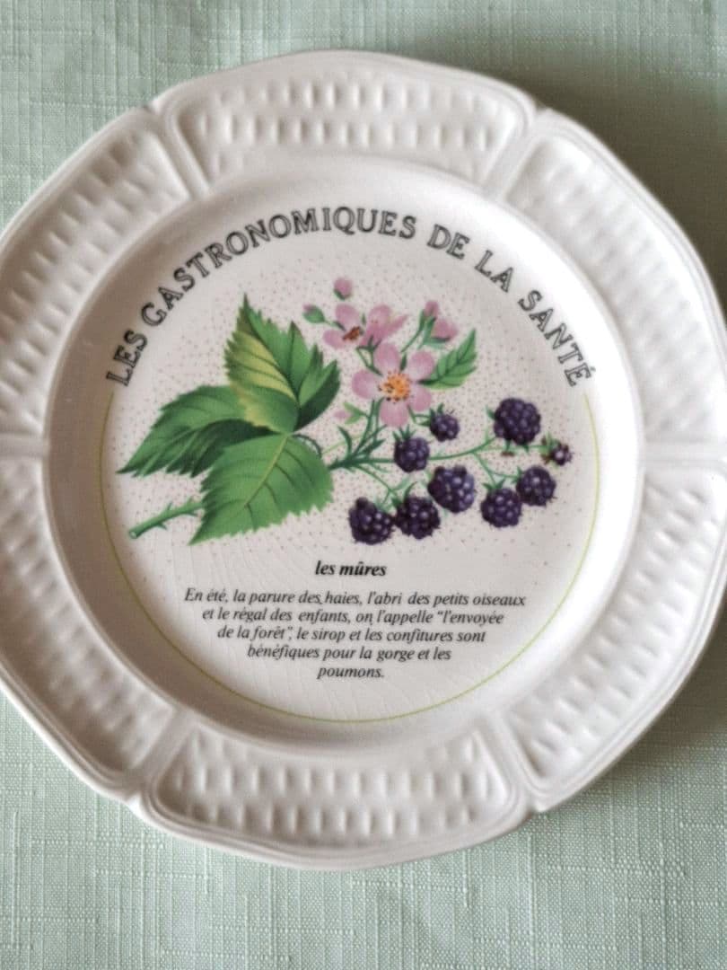 フランスGien社プレート8枚セット