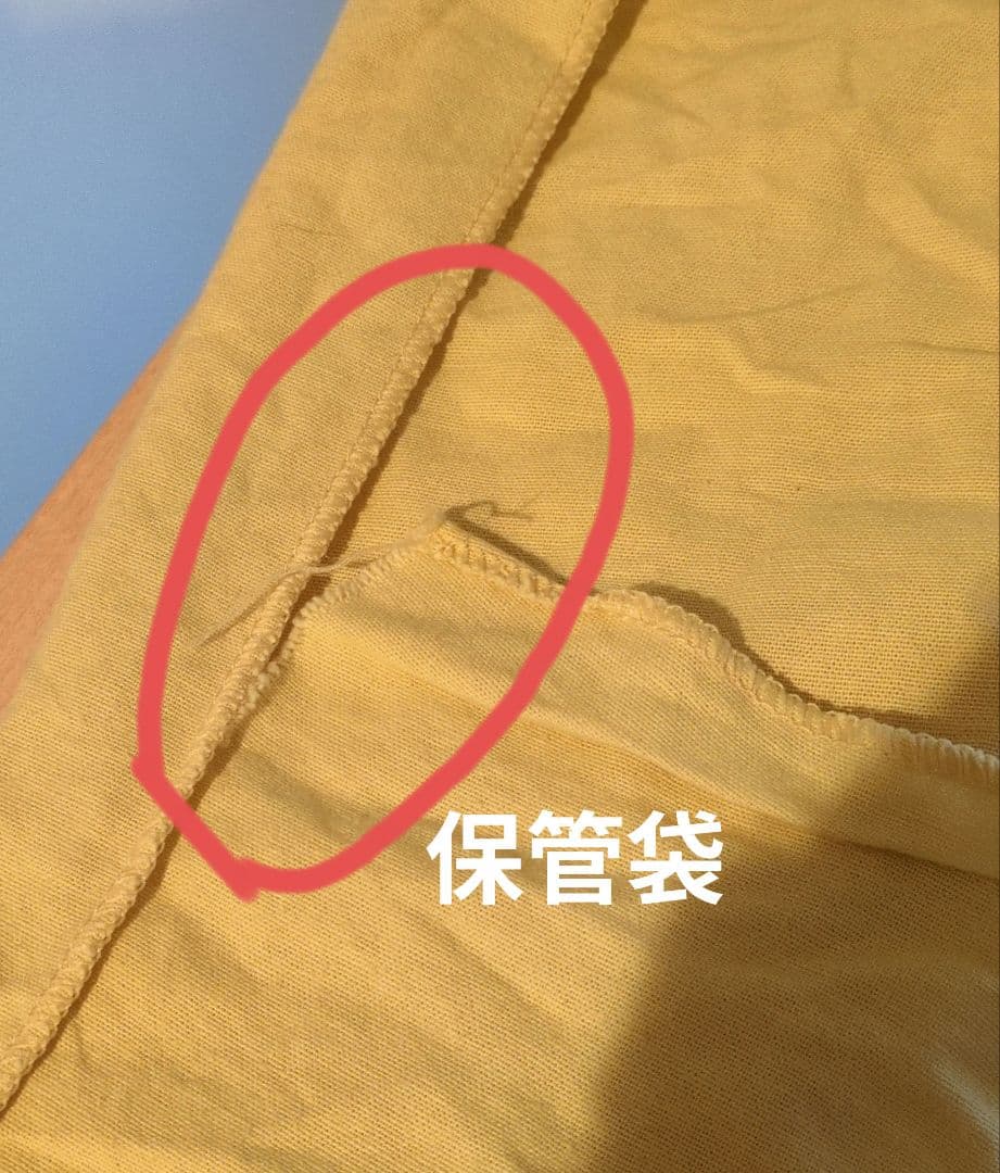 LOUIS VUITTON デニムバッグ　バギーPM