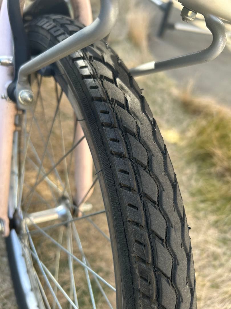 『直接引き取り限定』コーダーブルーム20インチ