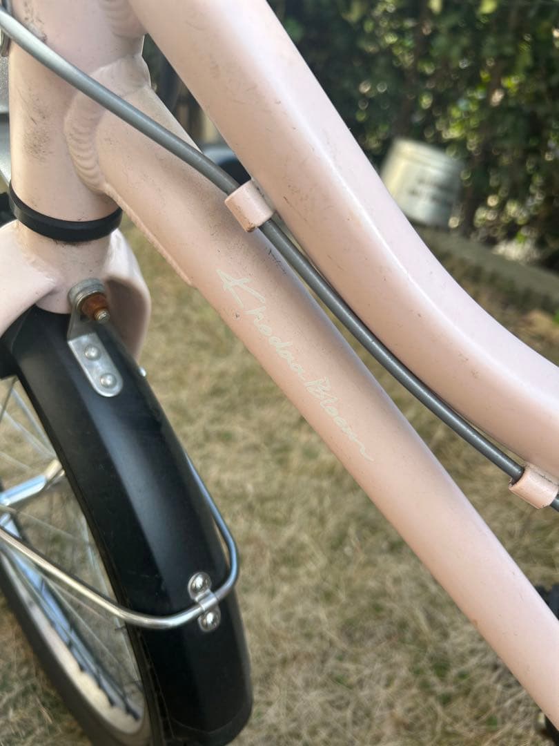 『直接引き取り限定』コーダーブルーム20インチ