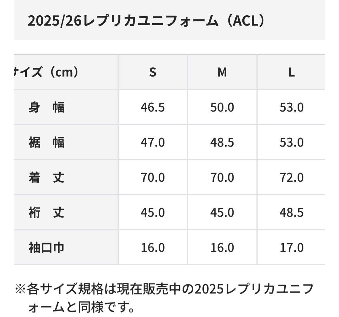 荒木隼人#4 サンフレッチェ広島ACL限定ユニフォーム　Lサイズ　ホワイト