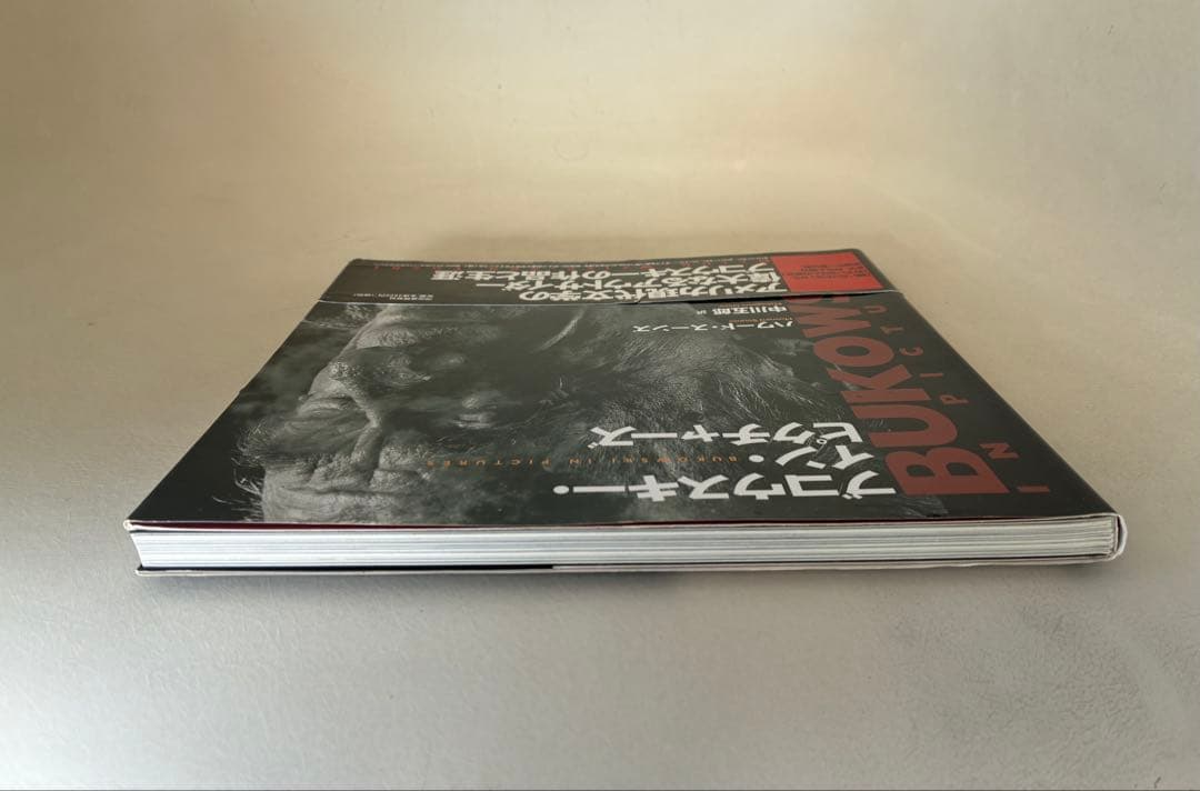 BUKOWSKI IN PICTURES ブコウスキー,イン,ピクチャーズ初版本