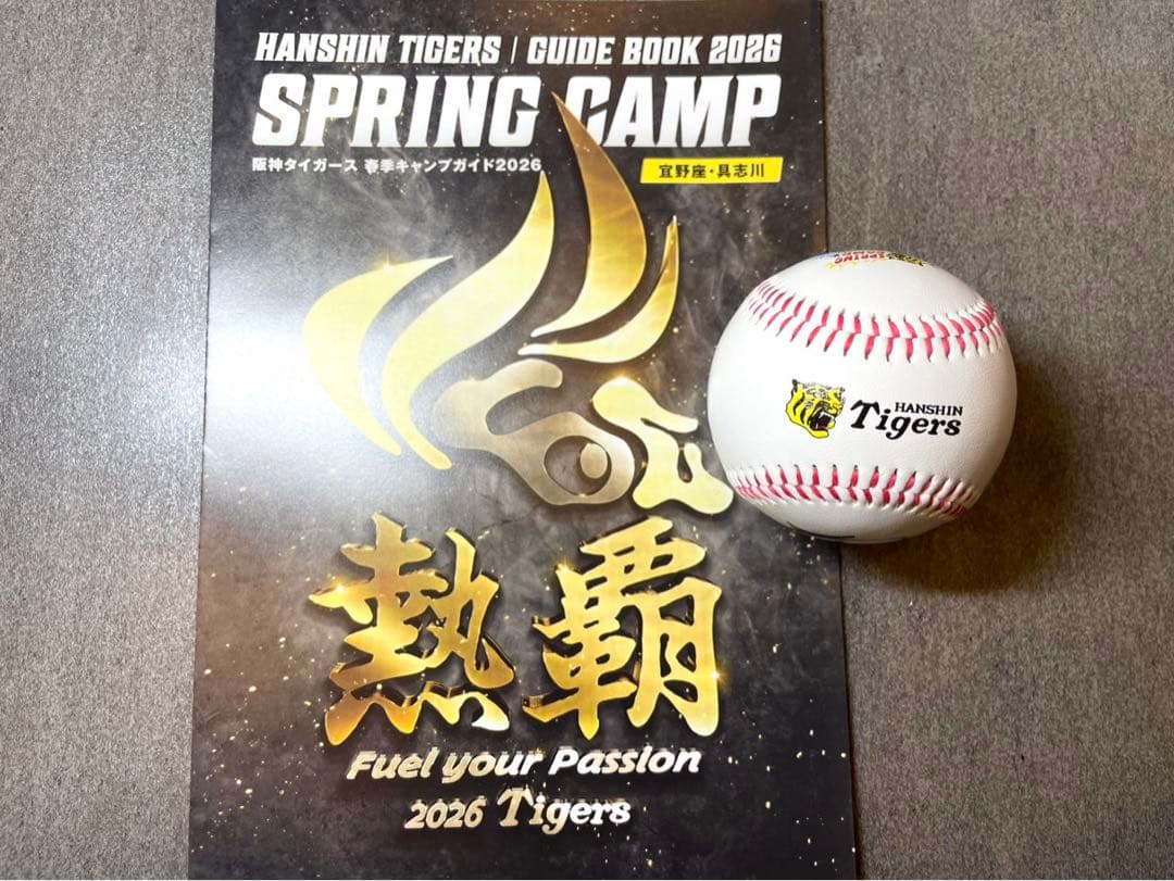 阪神タイガース 立石正広 直筆サインボール 2026沖縄キャンプ限定球