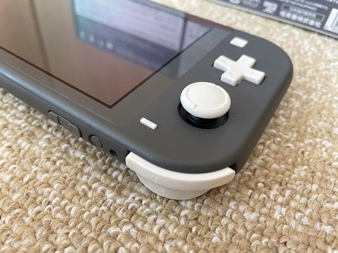 Nintendo Switch Lite グレー 本体 充電器 ケース