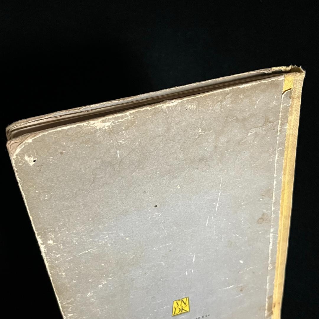 絵本・児童書 MODRY KOCOUREK