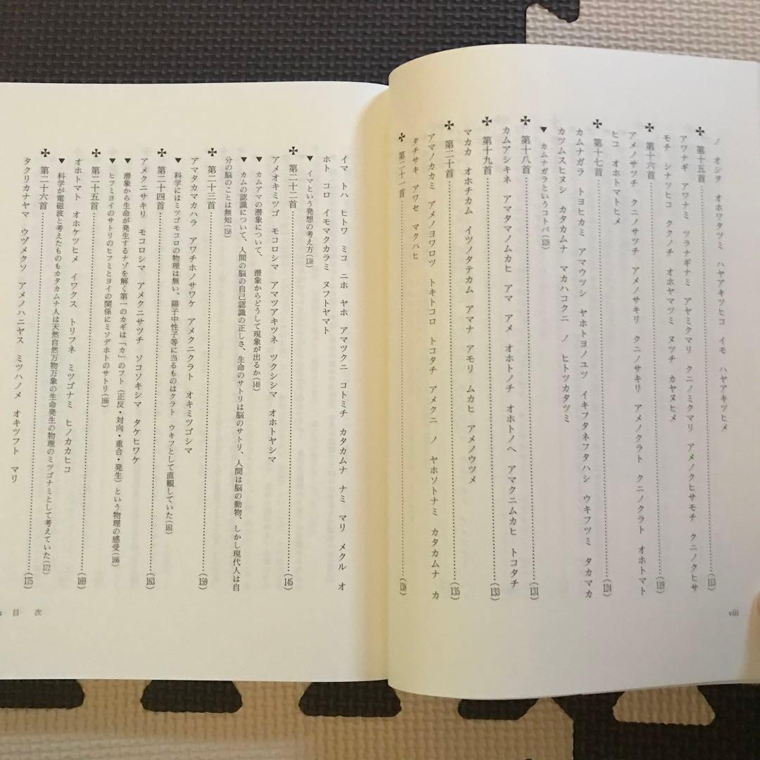 相似象学会誌　相似象　第１３号